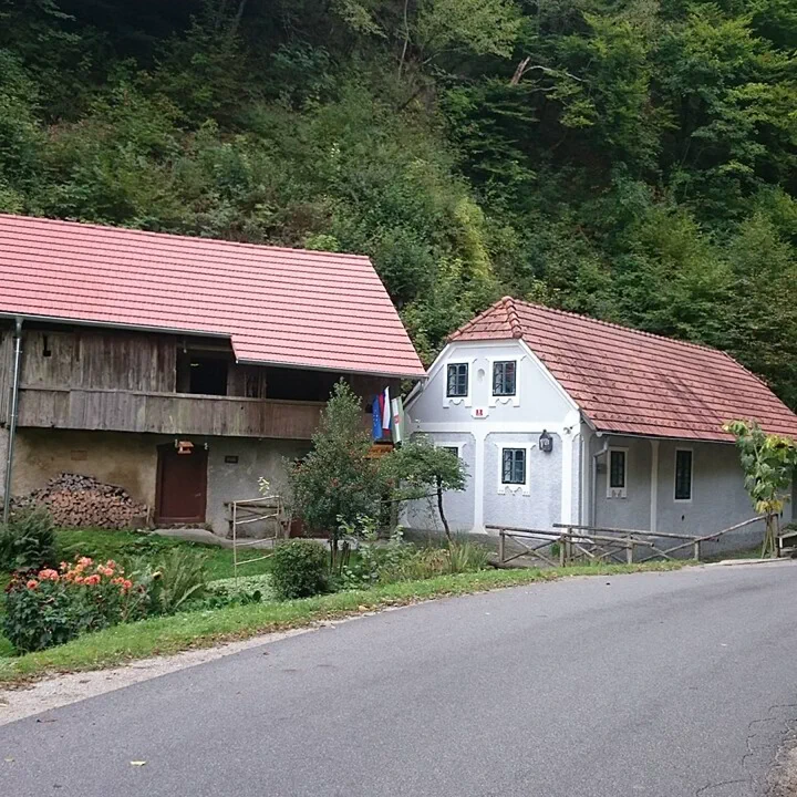 Ogled povečano sliko Kroflnov mlin in domačija