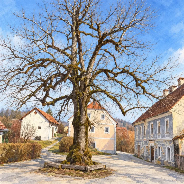 Ogled povečano sliko Ilustracija trškega prostora na Pilštanju