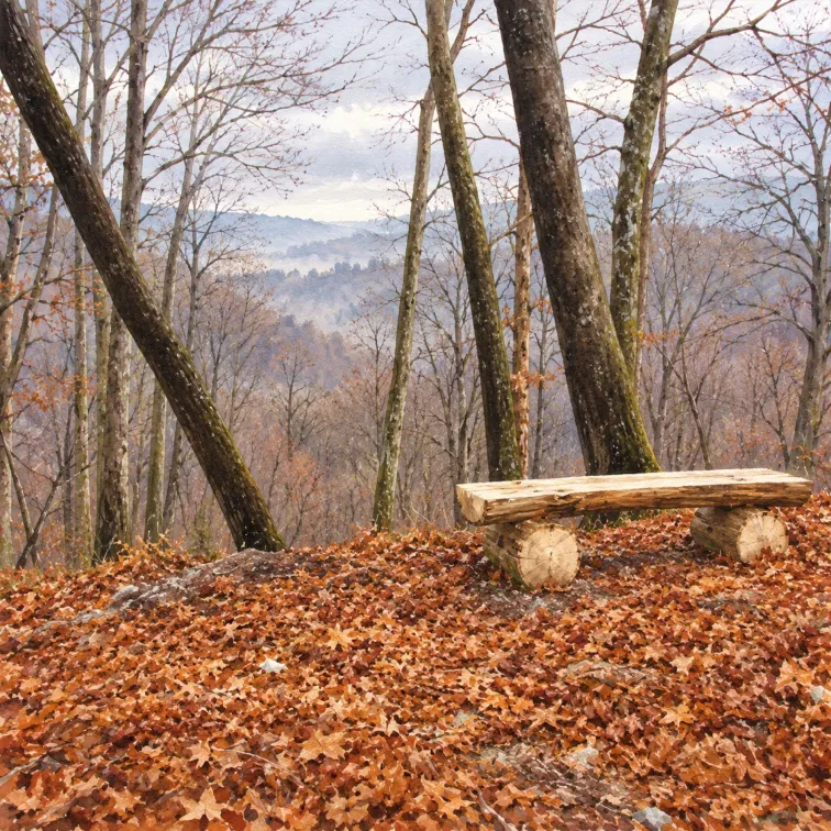 Ogled povečano sliko Ilustracija lokacije Vranske pečine – gozdni rezervat